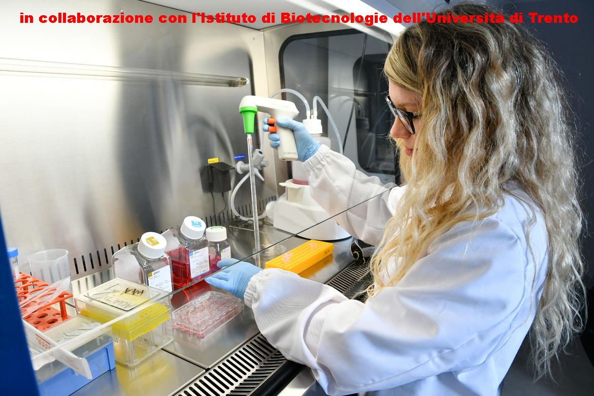 scienza200624-2