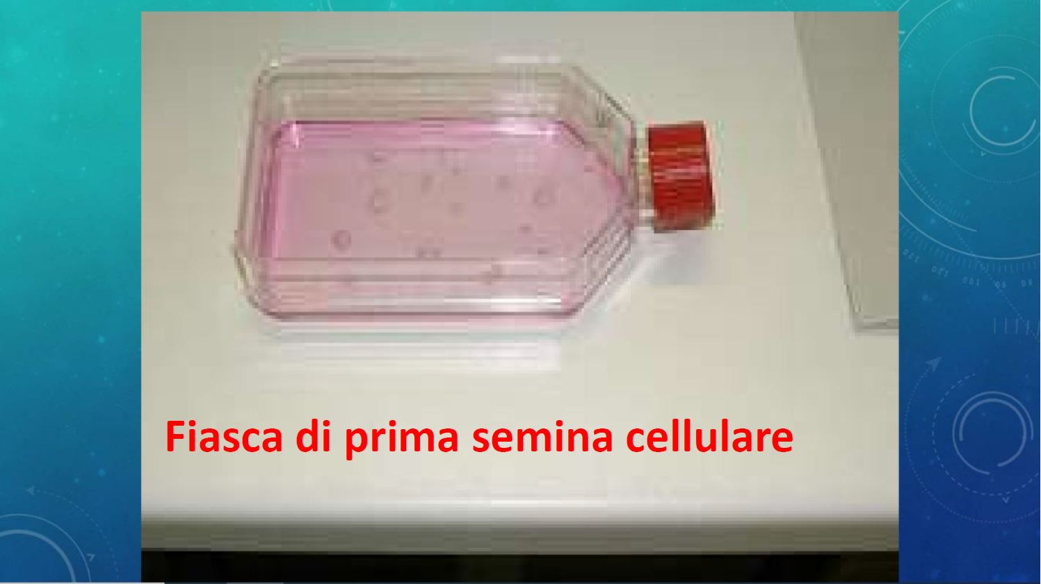 scienza200624-8