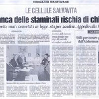 Rassegna Stampa 2009
