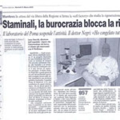 Rassegna Stampa 2009
