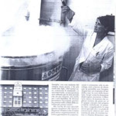 Rassegna Stampa 2002