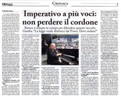 Nuova Cronaca di Mantova 26 Dicembre 2012